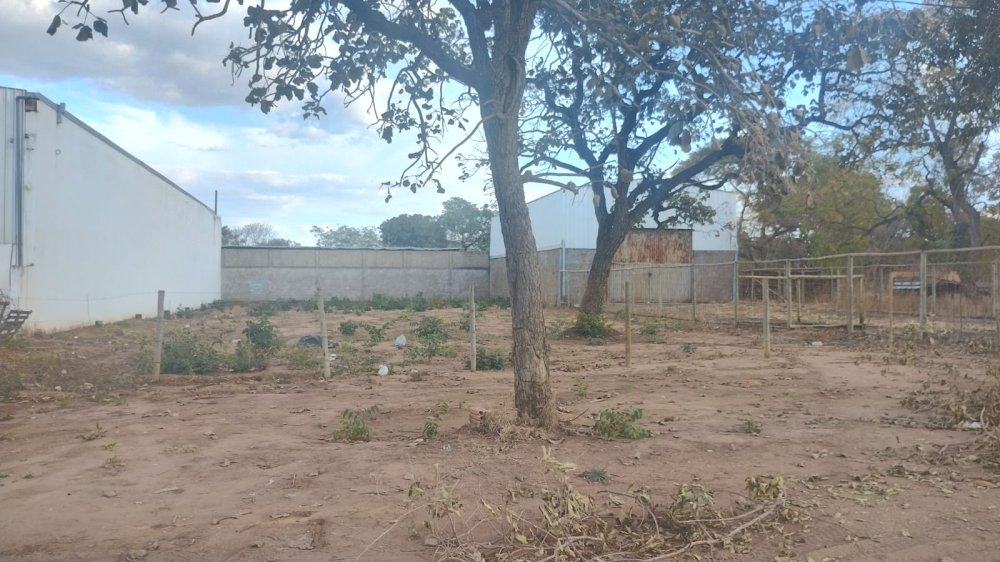 Terreno - Venda - Br365 - Buritizeiro - MG