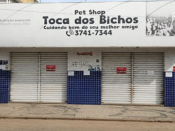 Avenida Pio XII